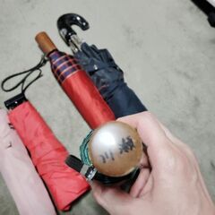 折りたたみ傘 5本セットの画像