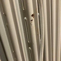 【0円・無料】デロンギ オイルヒーター／動作確認済／年数経過ありの画像