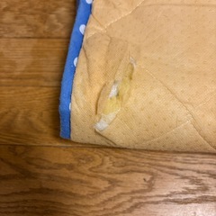 お昼寝マット(近日処分)の画像