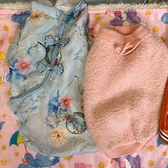 犬服 どれでも1枚500円♡♡の画像