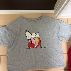 レディース　tシャツ　まとめての画像