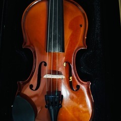 バイオリン　小学生用の画像