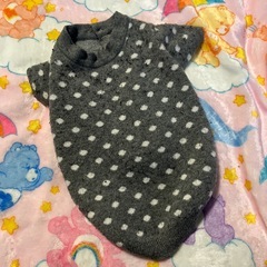 犬服 無料です♡♡の画像