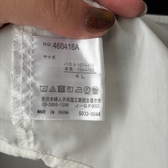 カットシャツの画像