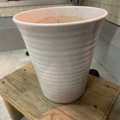 観葉植物　器の画像