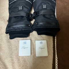 電熱グローブの画像