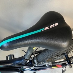 GT スタンパー マウンテンバイク 24インチの画像