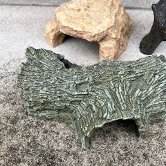 爬虫類　飼育セット　4点の画像