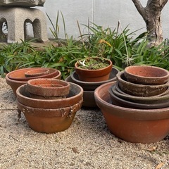 植木鉢の画像