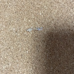 コルク板の画像