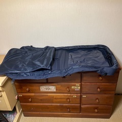 【希少・美品】アメリカ空軍 ガーメントバッグ｜大型・厚手タイプ｜の画像