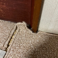 長い絨毯の画像