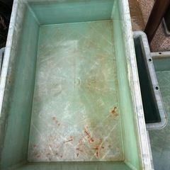 トロ舟60の画像