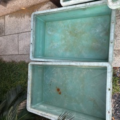 トロ舟60の画像