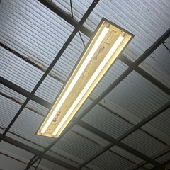 ジャンクとしてＬＥＤ蛍光灯の画像