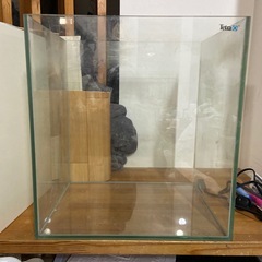 ハイタイプ水槽の画像