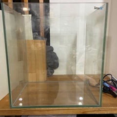 ハイタイプ水槽の画像