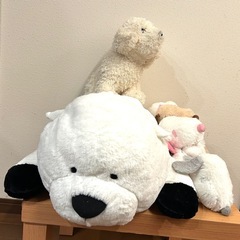 ぬいぐるみの画像