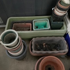 植木鉢
の画像