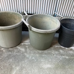 鉢植えの鉢の画像