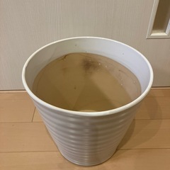【無料 木鉢
】の画像