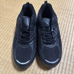 【未使用】バイオフィッター スポーツシューズ 28.0cm 黒 箱付きの画像