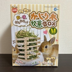 【未使用】 うさぎグッズの画像