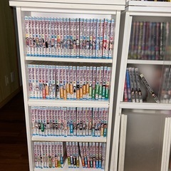 ONE PIECE カラダ探し　棚２個セットの画像