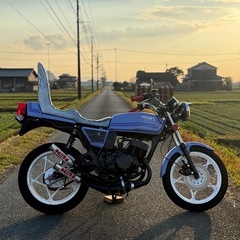 　rg250e　　説明文読んでくださいの画像