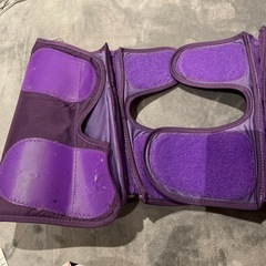 【現在やりとり中】無料ジャンク品：プリオ　pulio　ふくらはぎV2 パープルの画像