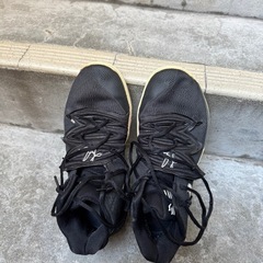 バッシュ　カイリー5の画像