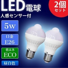 人感電球の画像