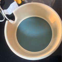 ベビー ポット の画像