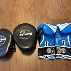 ボクシンググローブとミットの画像