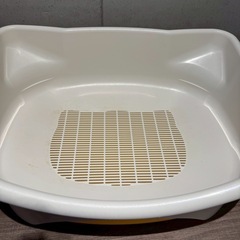 猫　トイレ子猫の画像