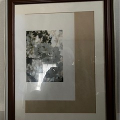 コニカカラー木製額縁の画像