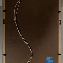 コニカカラー木製額縁の画像