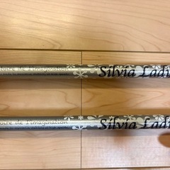 【スキー　ストック】レディース用の画像