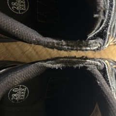 adidasのトレシュウの画像