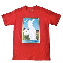 チェック柄長袖シャツMサイズ　Hall of fame TシャツSサイズの画像