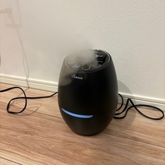 YA-MAN ブライトクリーン スチーマーの画像