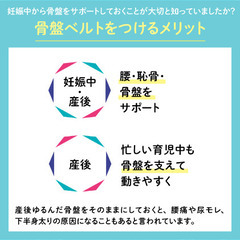 骨盤ベルトの画像