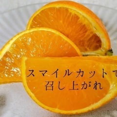 愛媛県産あいか1箱の画像