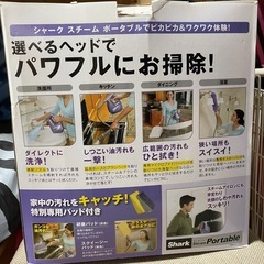 スチーム掃除機・スチームアイロンの画像