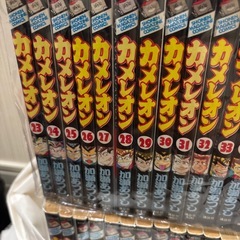 カメレオン
の画像