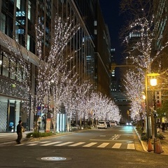 🐾 新年ナイト散歩 ✨シンジュクネオンウォーク✨ 🐱🌃