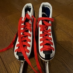 　２０cm　スケート靴　スピードスケートの画像