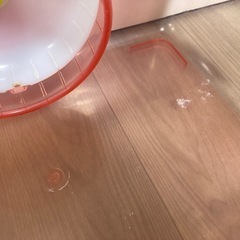 ハムスターケージ＋その他の画像