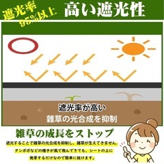 防草シート幅1m長さ10mぴんつきピン付きの画像