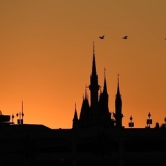 ディズニー友達募集！！